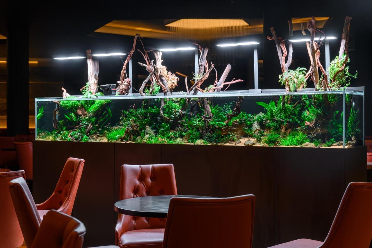 Minaro Hotel Tokaj - Mgallery Collection (Adults Only) Токай Екстер'єр фото A planted freshwater aquarium